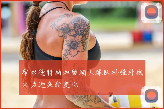 希尔德特纳加盟湖人球队补强外线火力迎来新变化