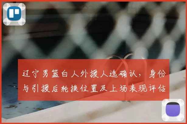 辽宁男篮白人外援人选确认,身份与引援后轮换位置及上场表现评估