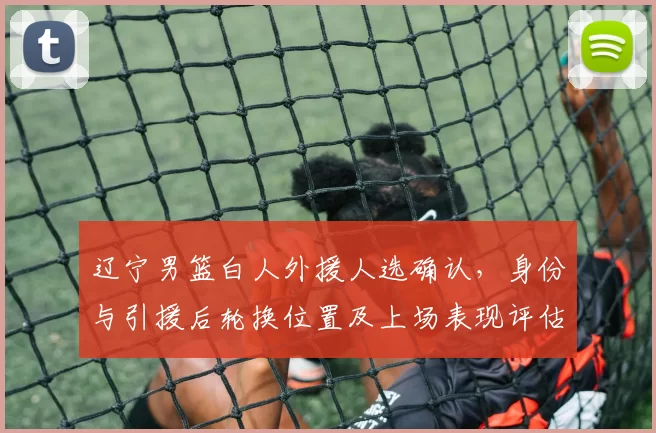 辽宁男篮白人外援人选确认，身份与引援后轮换位置及上场表现评估