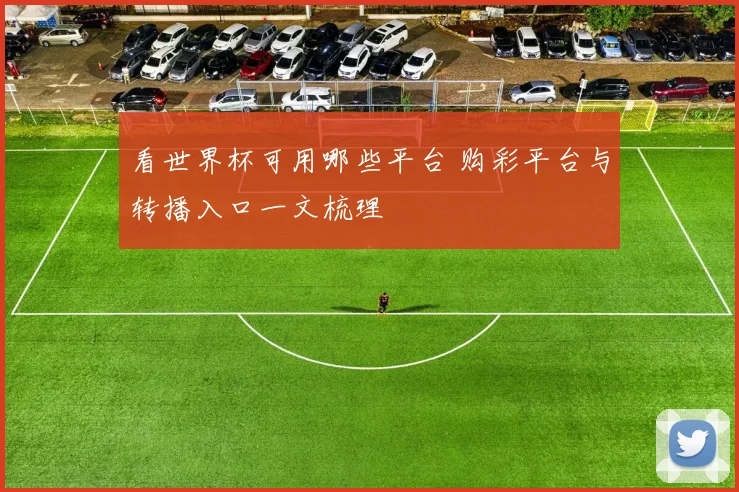 看世界杯可用哪些平台 购彩平台与转播入口一文梳理