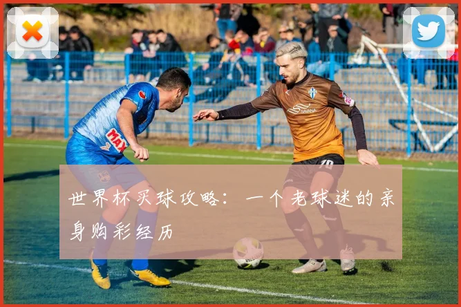 世界杯买球攻略：一个老球迷的亲身购彩经历