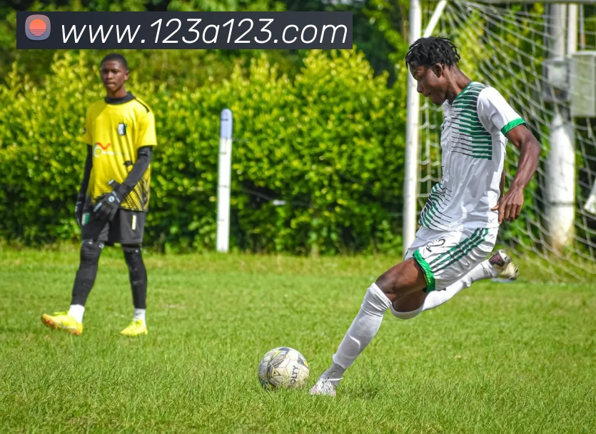 博亚体育app官网下载官方版(中国)官方入口平台生态图