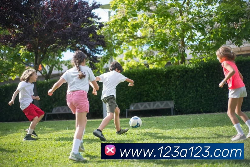 博亚体育app官网下载官方版(中国)官方入口APP 封面图